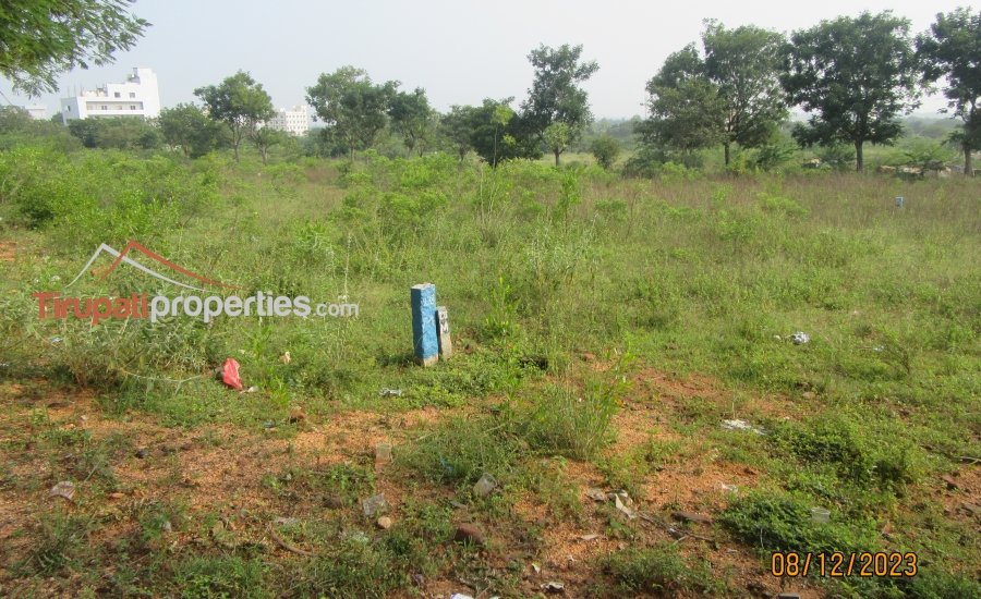 Tuda Approved North and South Facing 68 Anks Two Plots for Sale in TUDA Layout HIG Near Karkamabadi Road, Tirupati